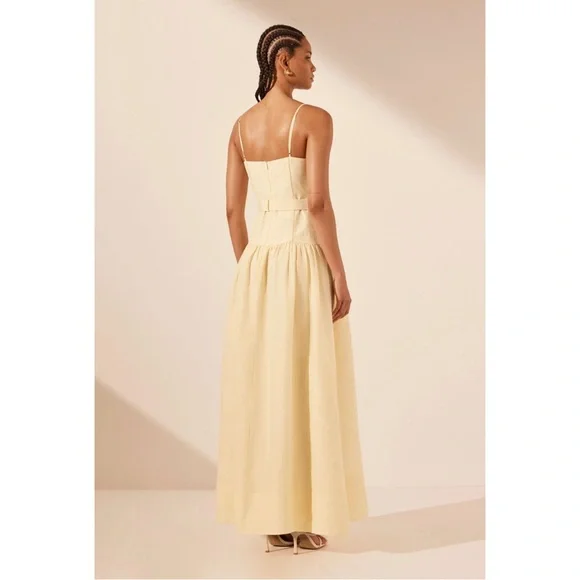 Shona Joy Limon Panelled Bustier Maxi Dress - US 4 *BNWT* - Picture 7 of 13